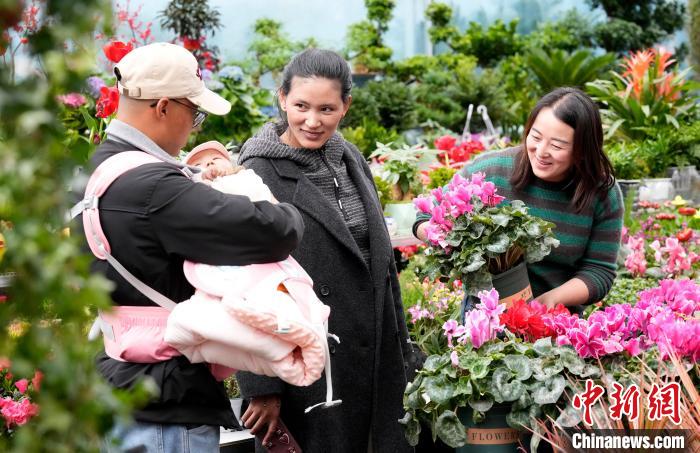 西藏拉萨：藏历新年近 市民花市选年货