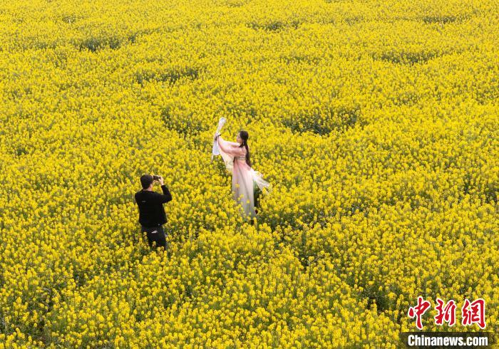 广西贺州：游客在油菜花海中感受烂漫春日