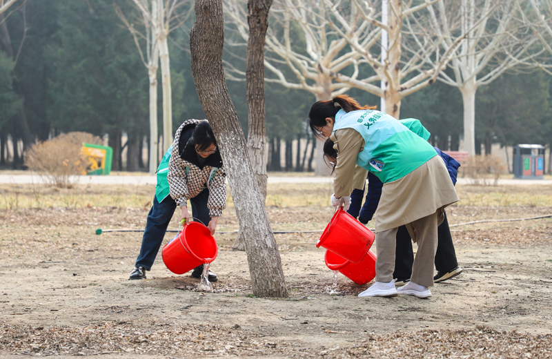 14.9万首都市民参加“绿地大扫除”义务植树尽责活动