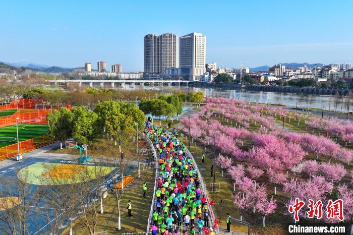 2025远安马拉松开跑 万人穿越花海感受春意