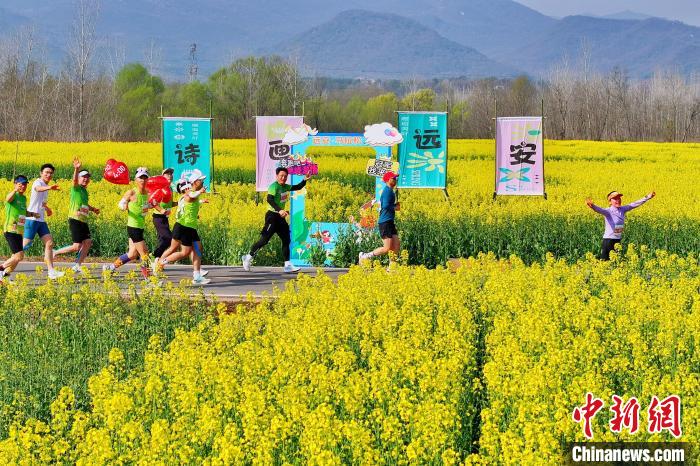 2025远安马拉松开跑 万人穿越花海感受春意