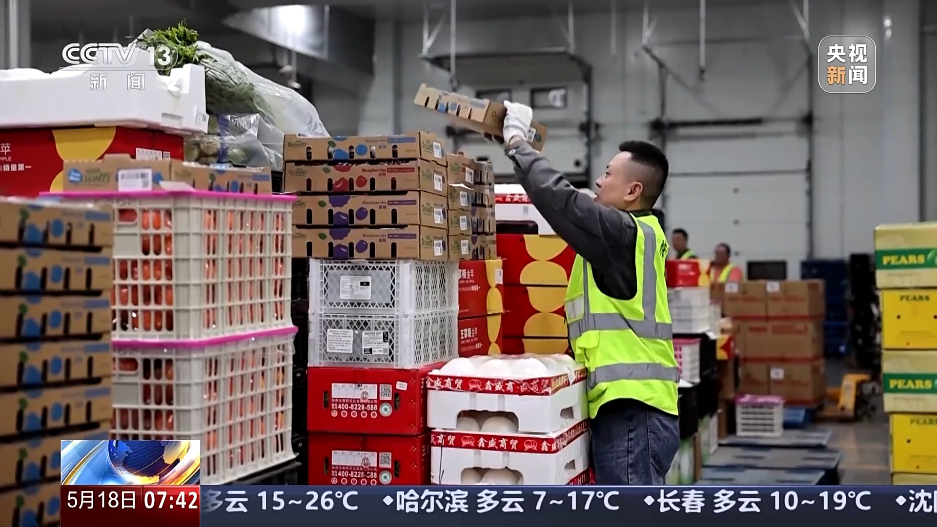 冷链物流市场规模Up 智利三文鱼48小时可抵成都市民餐桌