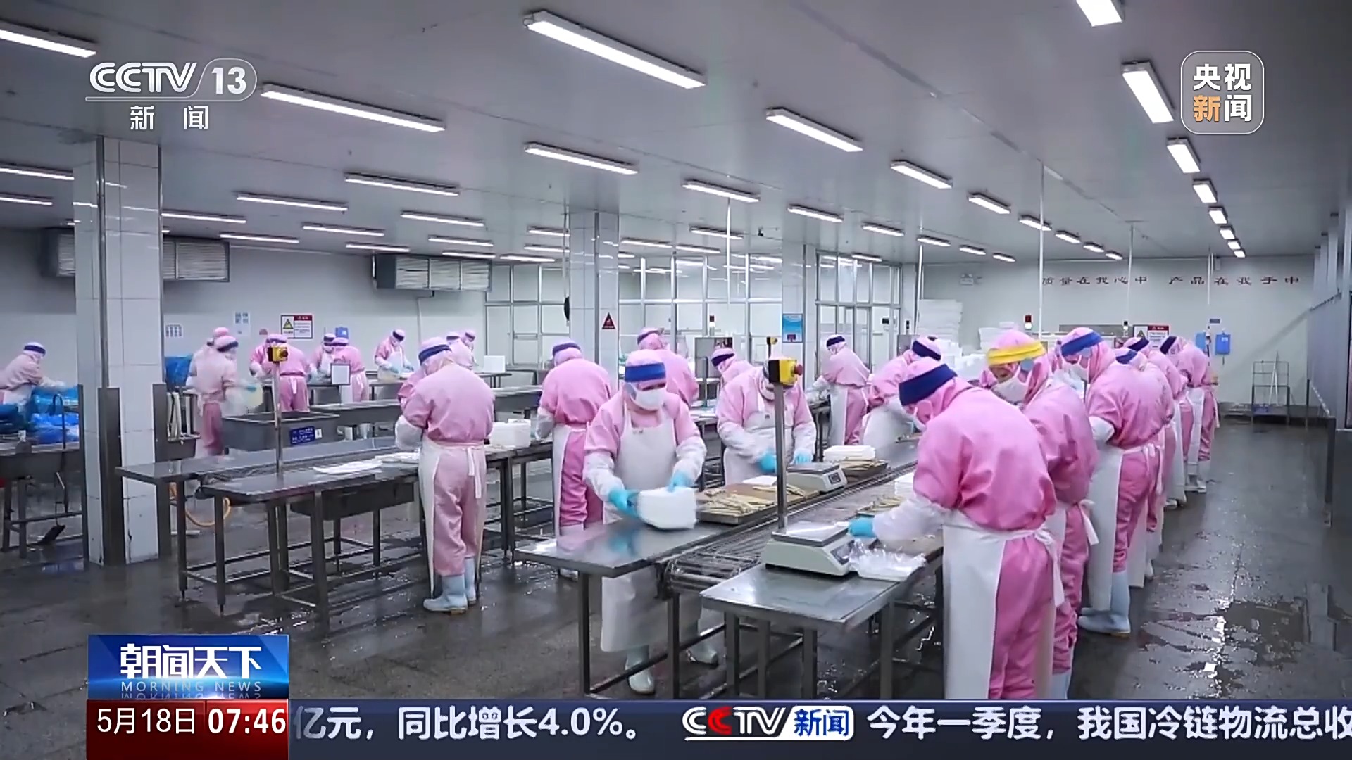 冷链物流市场规模Up 智利三文鱼48小时可抵成都市民餐桌