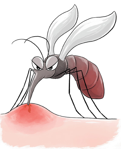 蜱虫、隐翅虫、蚊子……夏季，常见蚊虫如何应对