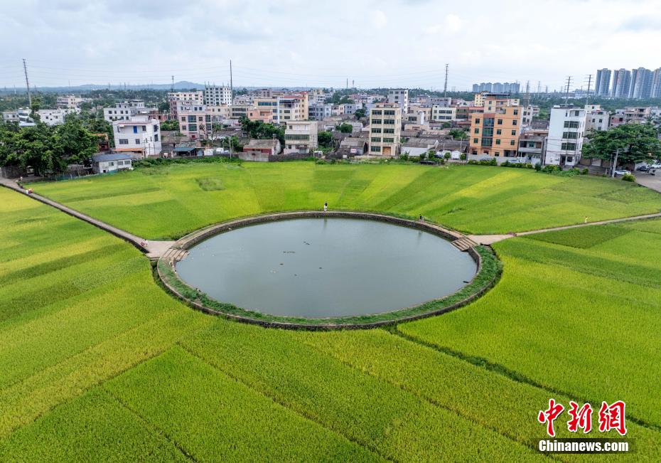 航拍海口“太极村”：400年古村落巧筑“大地时钟”