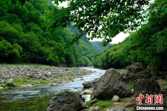 宁夏泾源：多彩文旅活动点燃“避暑胜地”夏日魅力