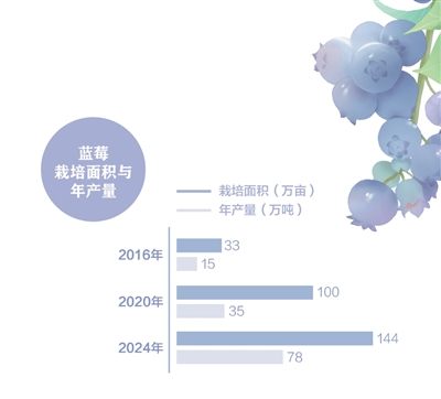 消费者“甜”了，果农有赚头吗？