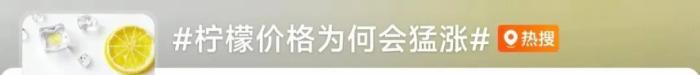 柠檬全面涨价了？！现在囤货卖给奶茶店还来得及吗？