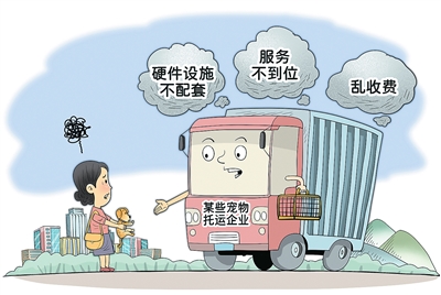 携宠出行的甜蜜与烦恼