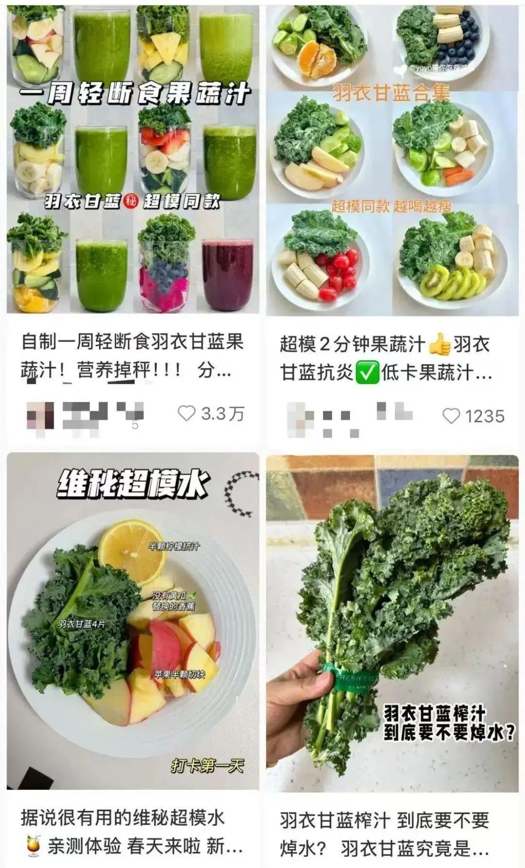 “羊都不吃”的羽衣甘蓝爆火：当健康焦虑正中资本下怀