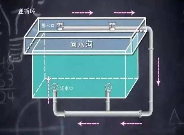 被吸住溺亡！泳池这个地方快远离