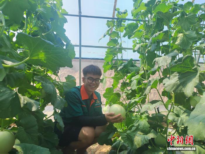 从体育生到新农人：山西“00后”大学生的种瓜记