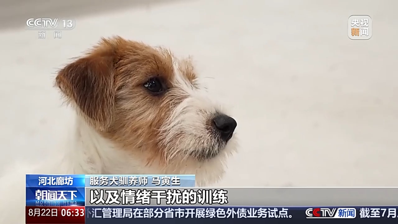 宠物服务招聘增速超72% 年轻人纷纷加入这一新兴行业