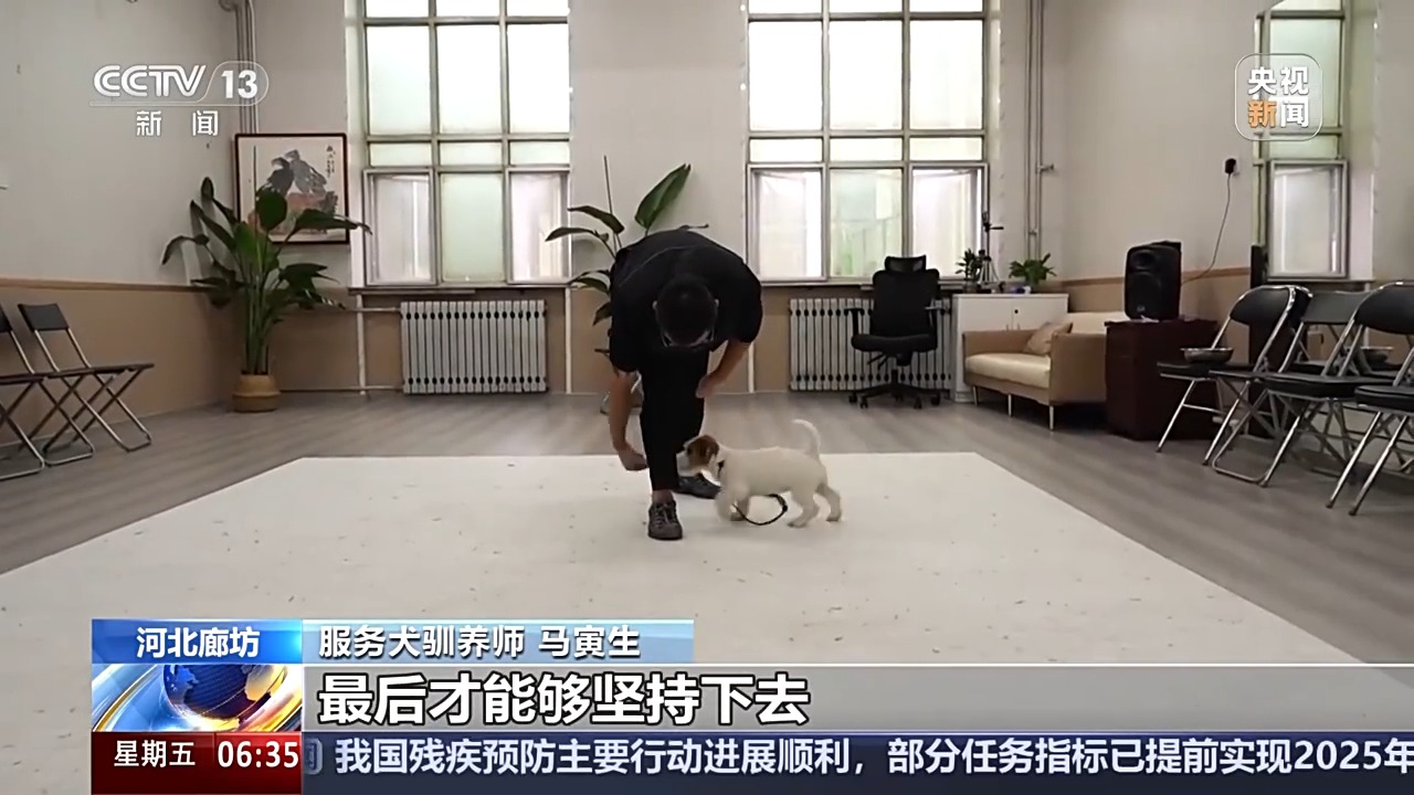 宠物服务招聘增速超72% 年轻人纷纷加入这一新兴行业