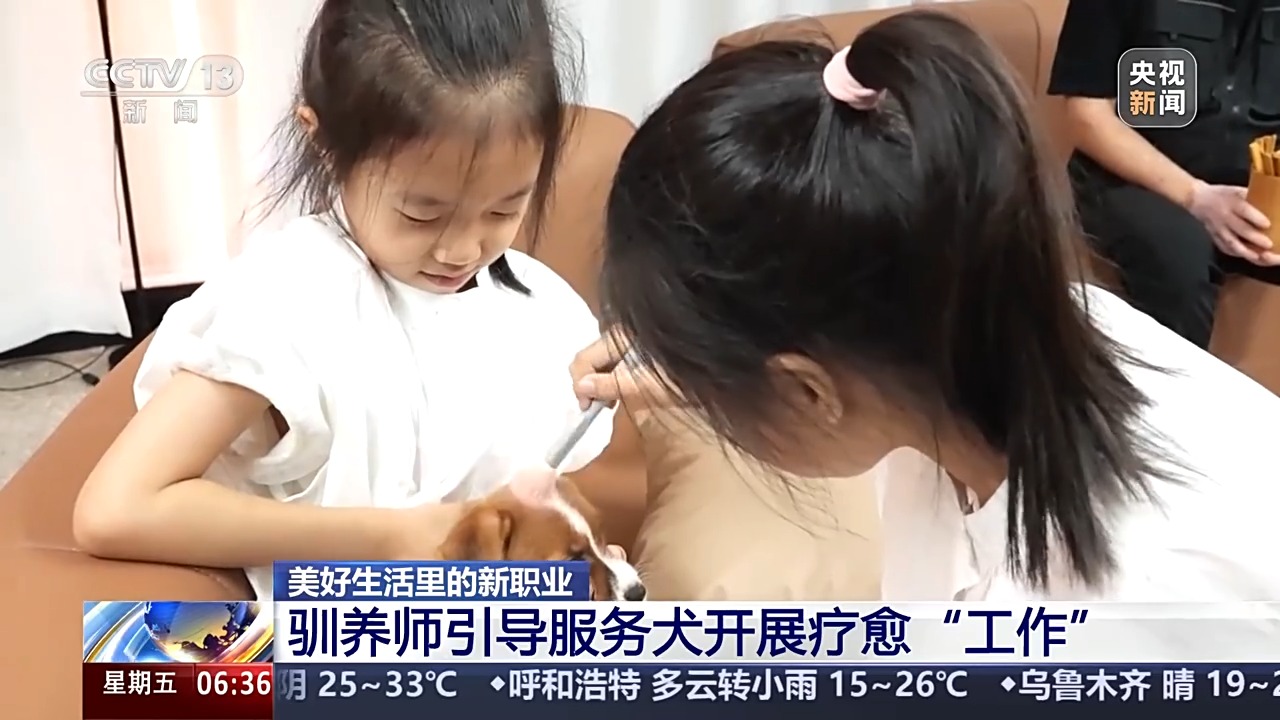 宠物服务招聘增速超72% 年轻人纷纷加入这一新兴行业