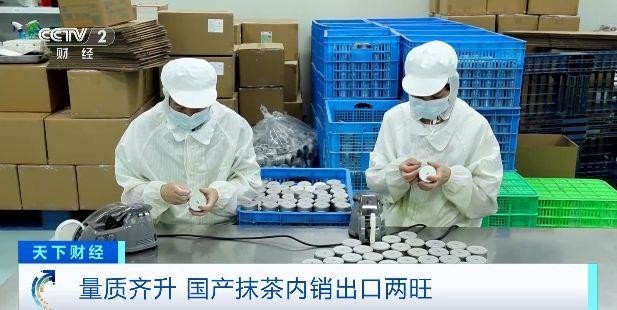 国产抹茶出口内销两旺 2025年产量将超5000吨