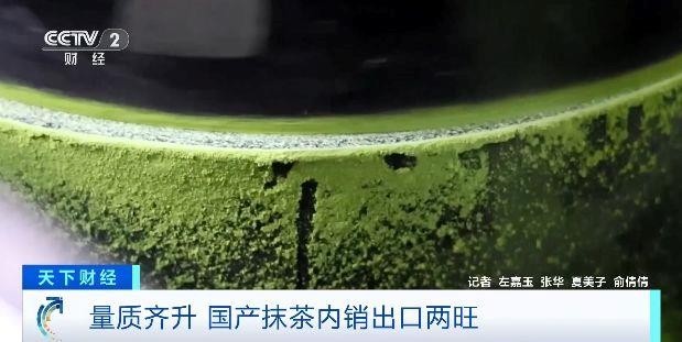 国产抹茶出口内销两旺 2025年产量将超5000吨