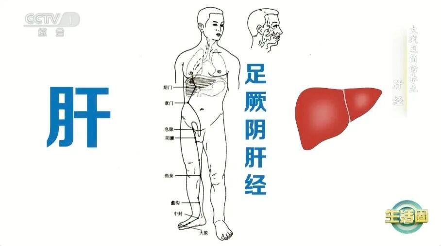 肝不好一看就知道 这5种行为很伤肝