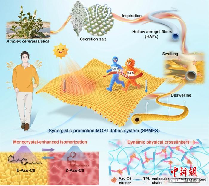 天津大学团队研发仿生光热织物 实现“秒速升温”与“稳定耐用”