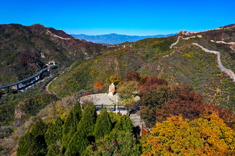 八达岭国家森林公园:赏红叶 正当时 八达岭国家森林公园:赏红叶 正当时