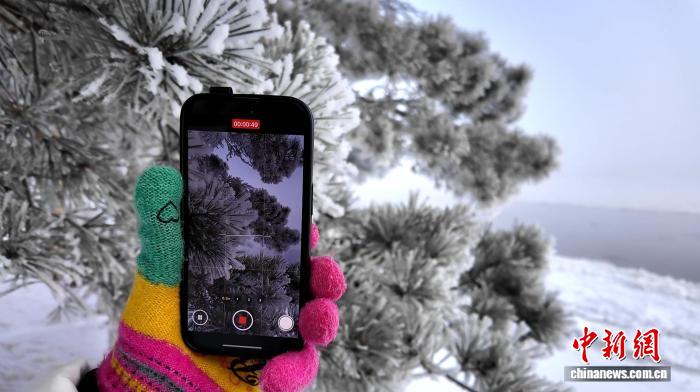 边城呼玛:雾凇冰排相互映衬 绝美冬景引游人