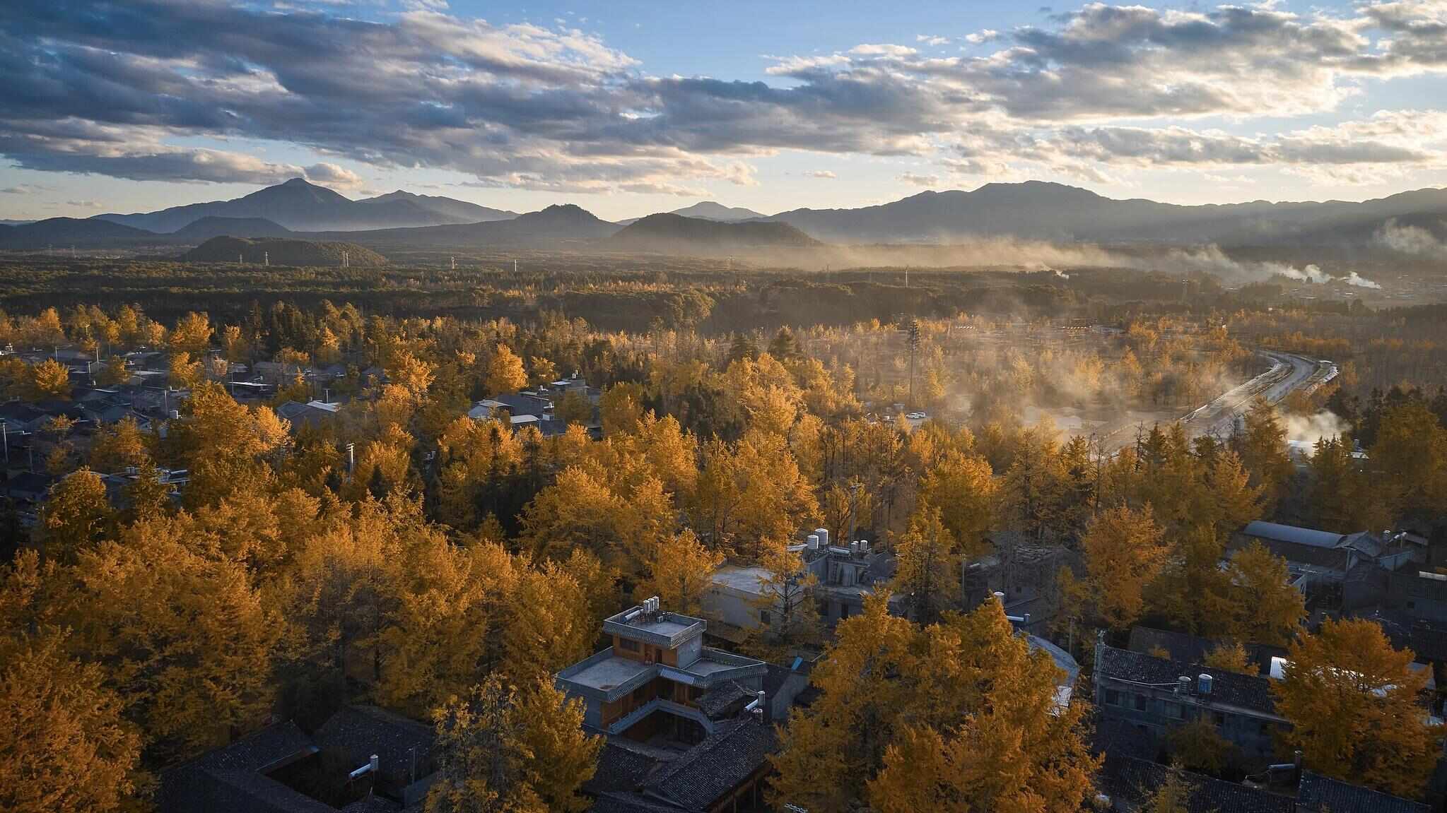 跟着电影去秋游|这份精选秋日电影旅行地指南,请查收!