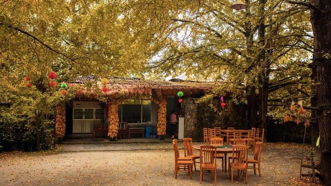 跟着电影去秋游|这份精选秋日电影旅行地指南,请查收!