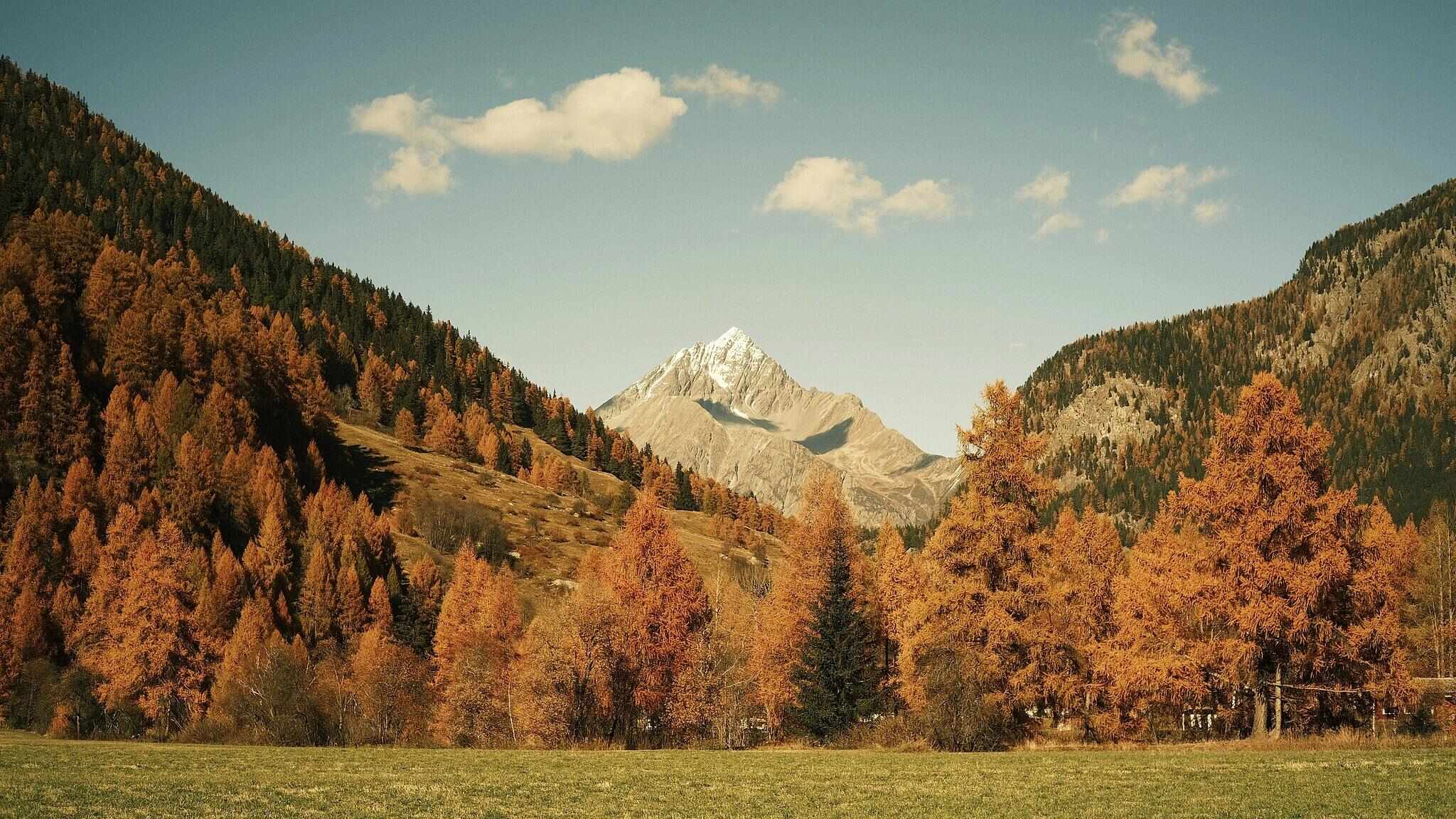 跟着电影去秋游|这份精选秋日电影旅行地指南,请查收!