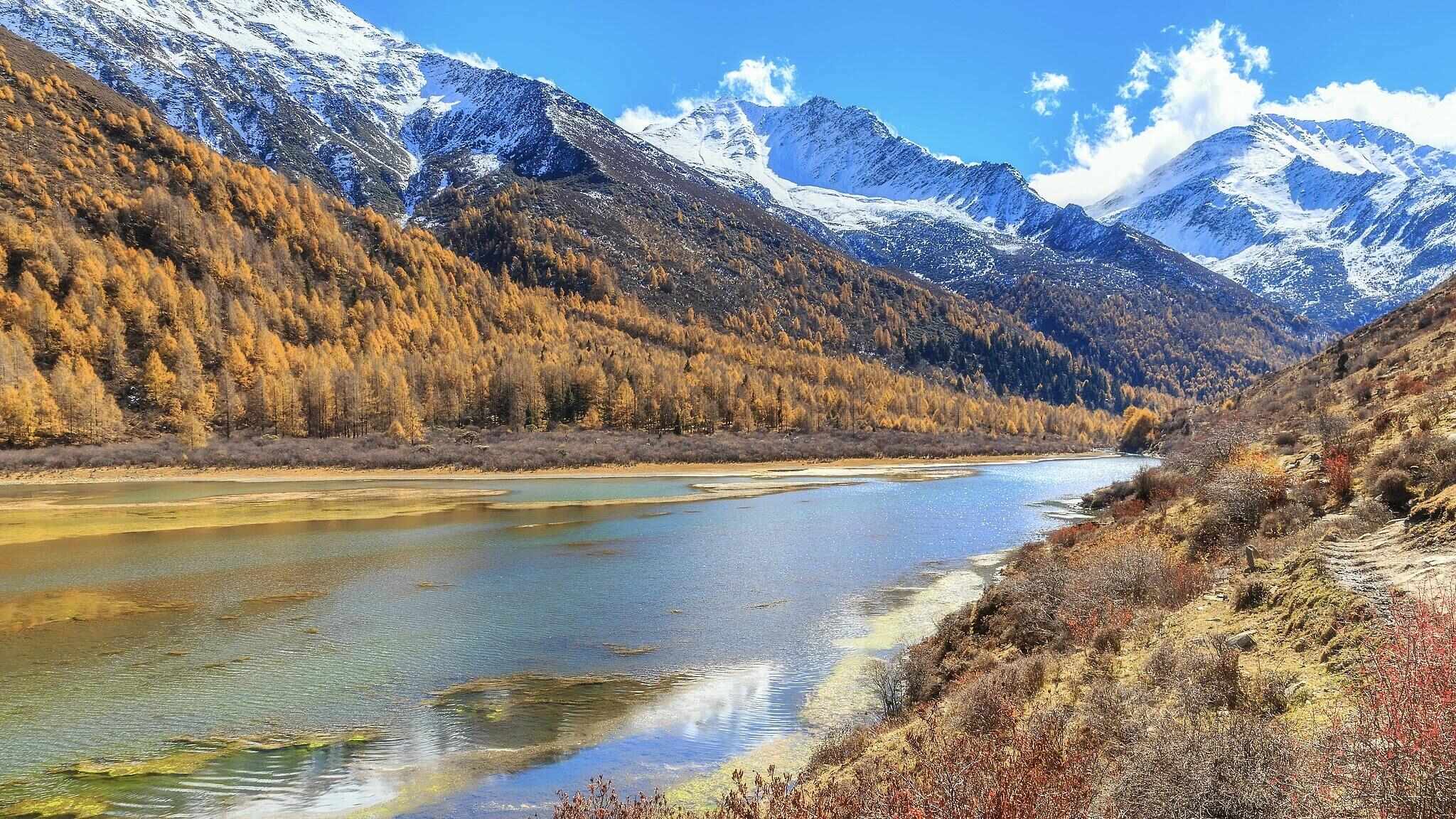跟着电影去秋游|这份精选秋日电影旅行地指南,请查收!