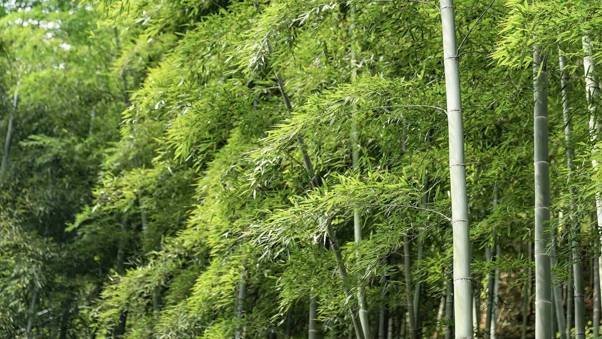 跟着电影去秋游|这份精选秋日电影旅行地指南,请查收!