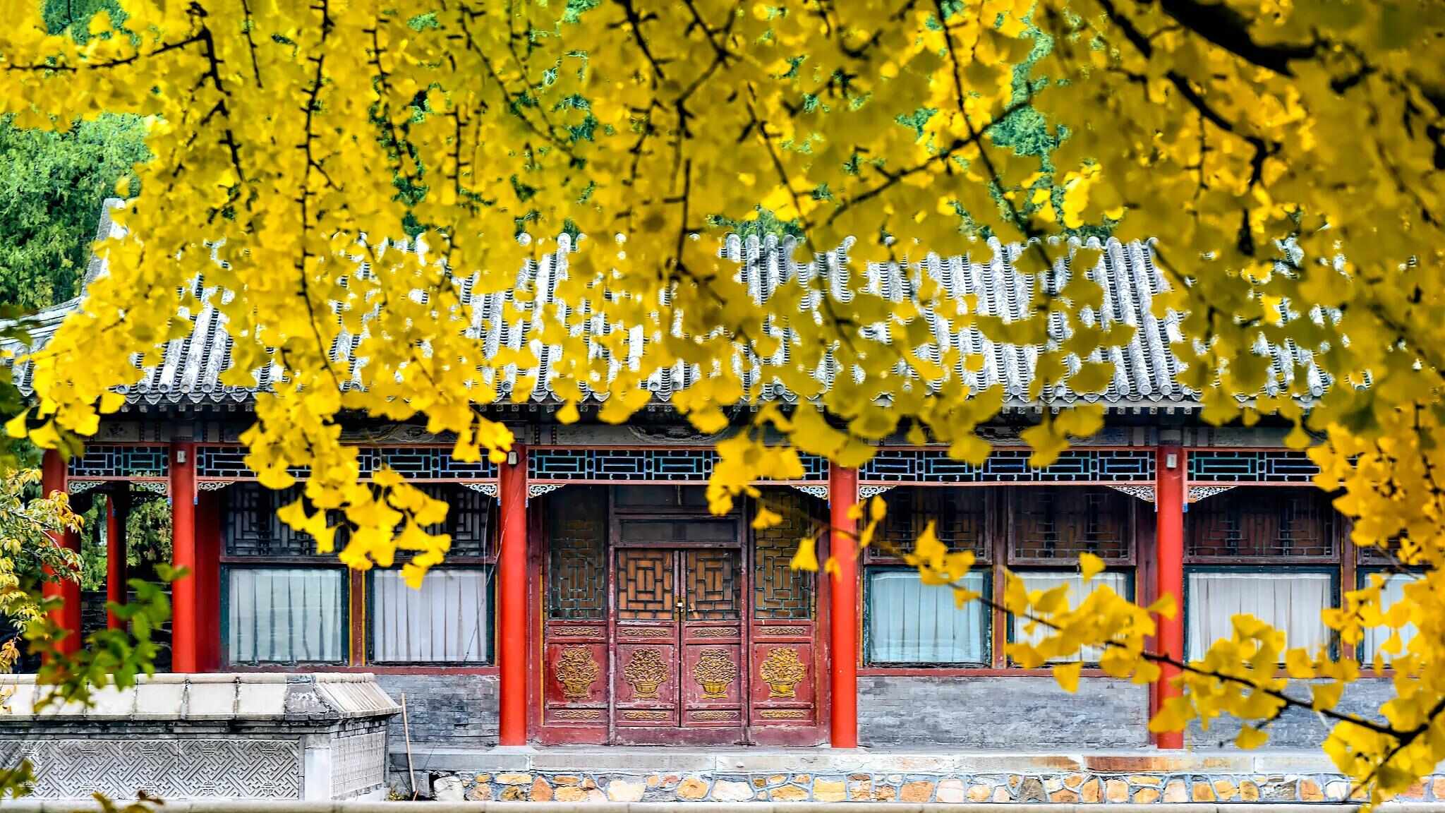 跟着电影去秋游|这份精选秋日电影旅行地指南,请查收!