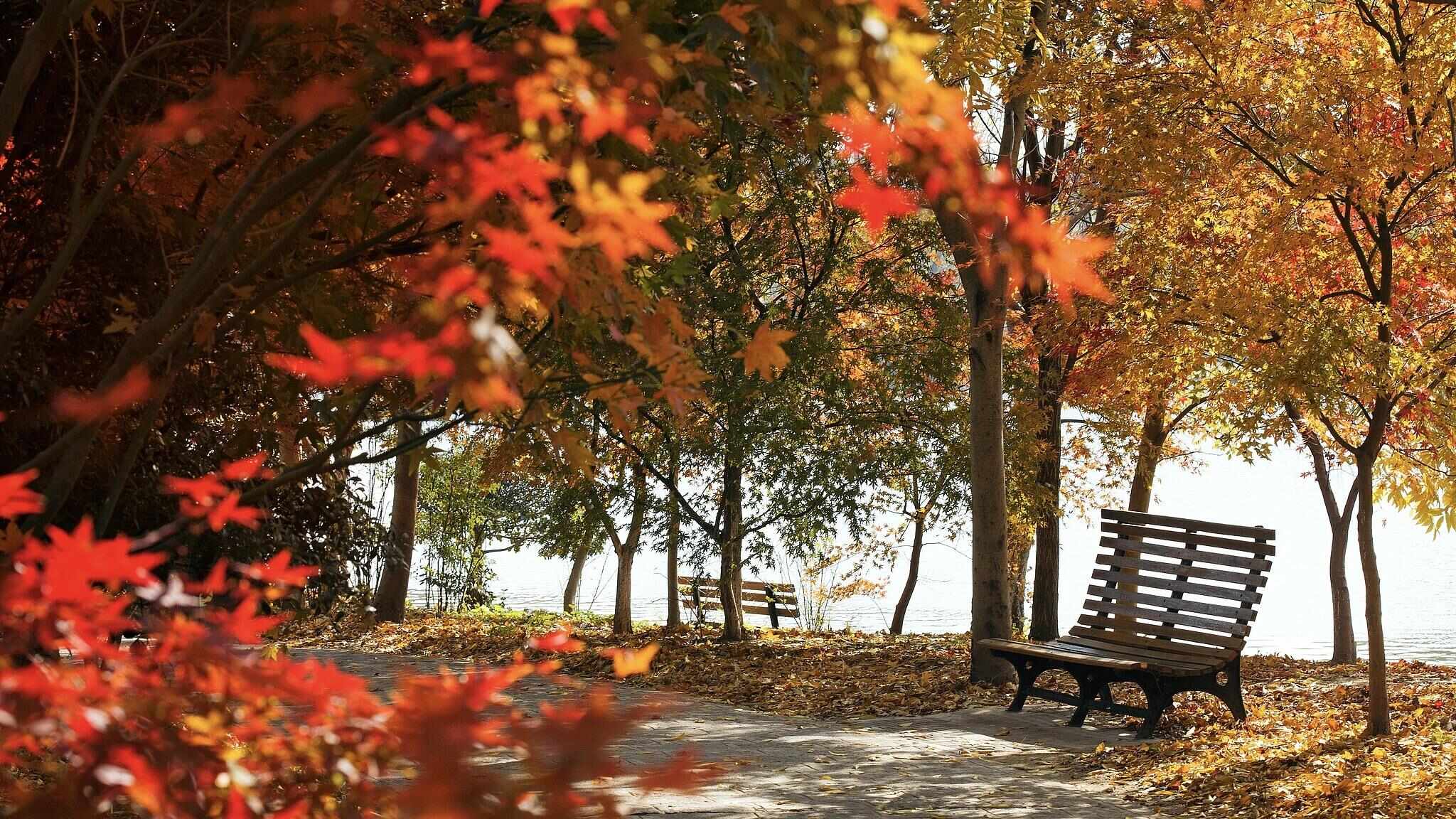跟着电影去秋游|这份精选秋日电影旅行地指南,请查收!