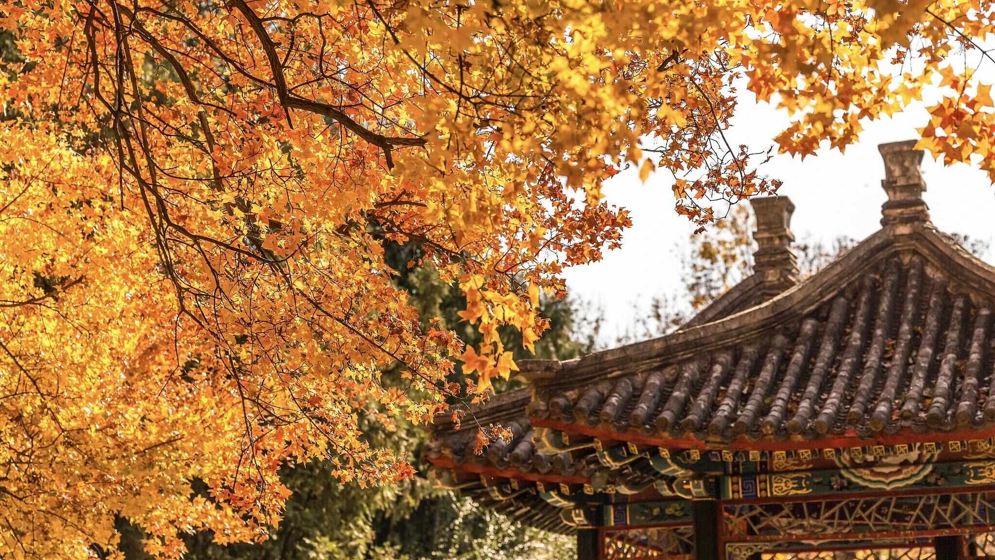 跟着电影去秋游|这份精选秋日电影旅行地指南,请查收!