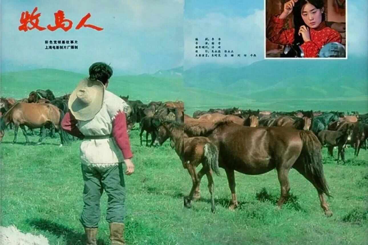 跟着电影去秋游|这份精选秋日电影旅行地指南,请查收!