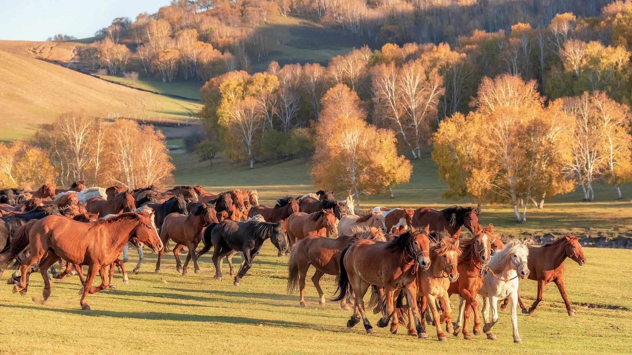跟着电影去秋游|这份精选秋日电影旅行地指南,请查收!
