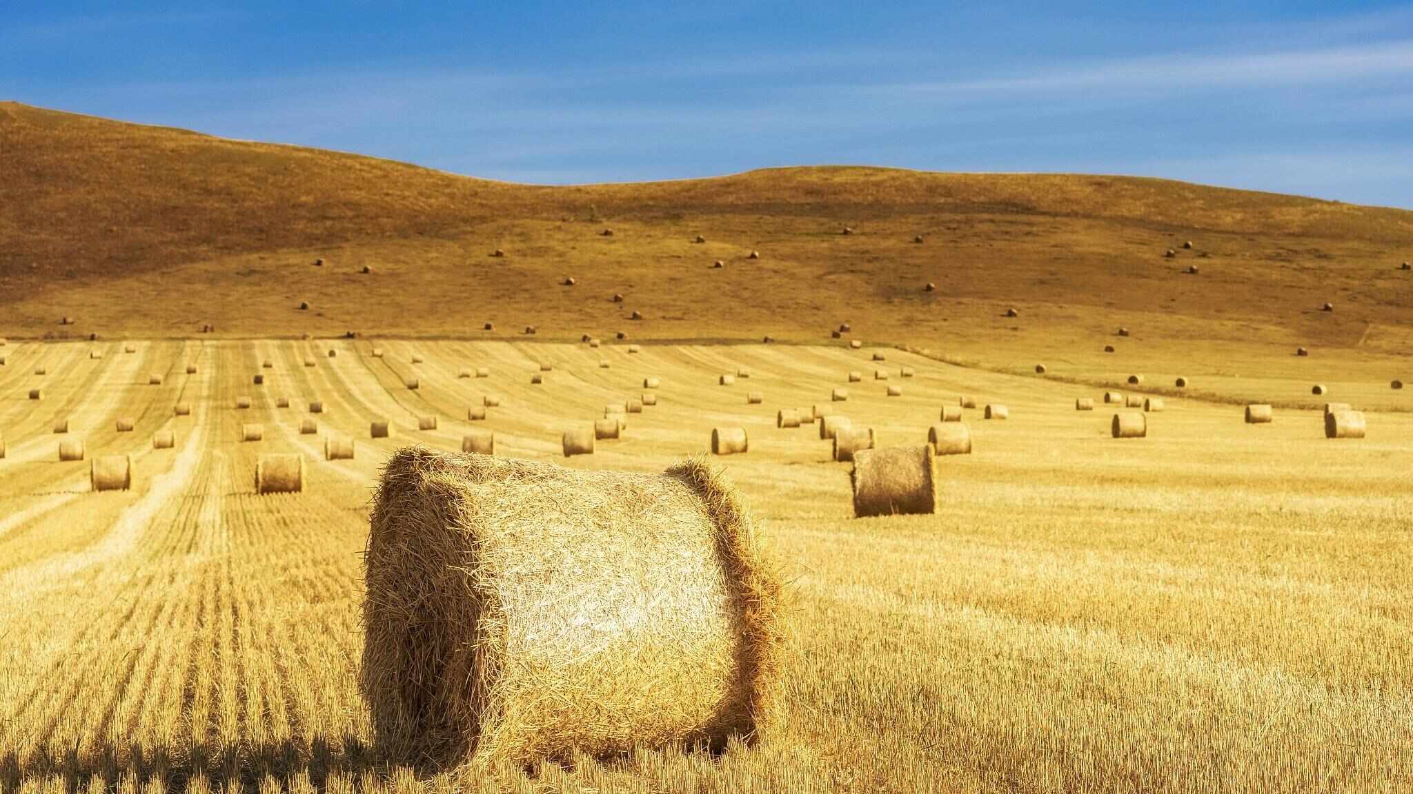 跟着电影去秋游|这份精选秋日电影旅行地指南,请查收!