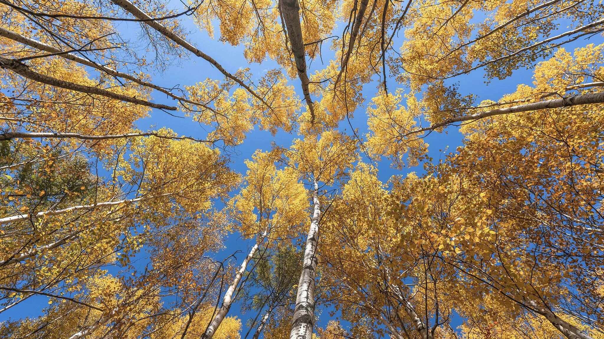 跟着电影去秋游|这份精选秋日电影旅行地指南,请查收!