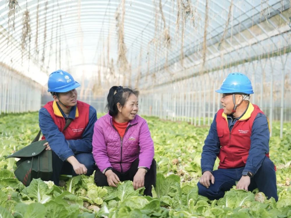 寒潮持续 多地多措并举保民生 寒潮持续 多地多措并举保民生