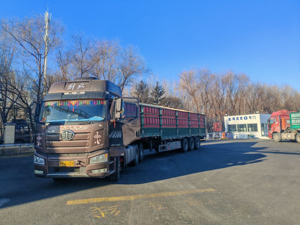 寒潮持续 多地多措并举保民生 寒潮持续 多地多措并举保民生