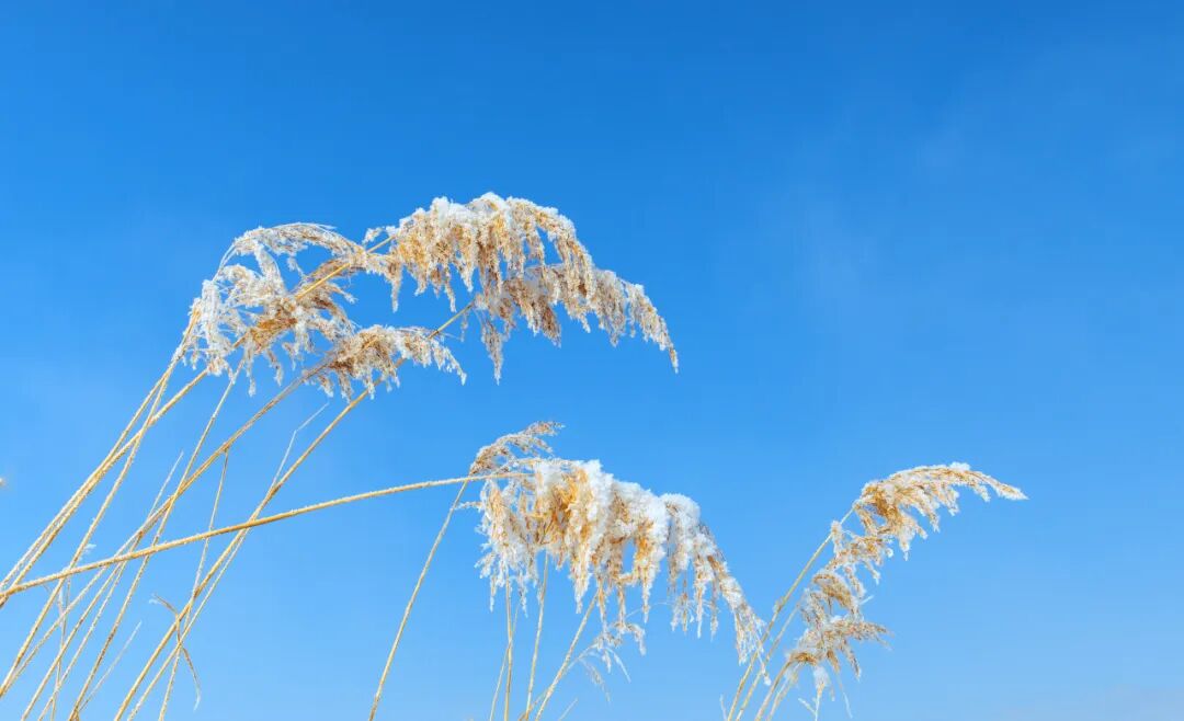 天气一变，为何关节就痛？| 科普时间