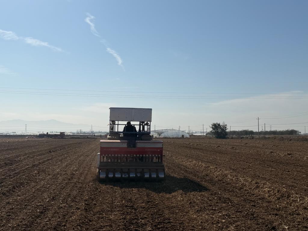 今冬不放松，来年“丰”可期——多地冬种及田间管护见闻