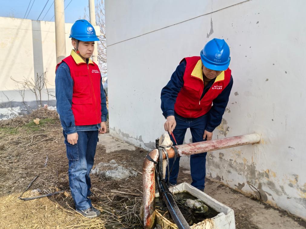 今冬不放松，来年“丰”可期——多地冬种及田间管护见闻