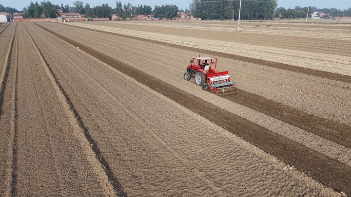 今冬不放松，来年“丰”可期——多地冬种及田间管护见闻