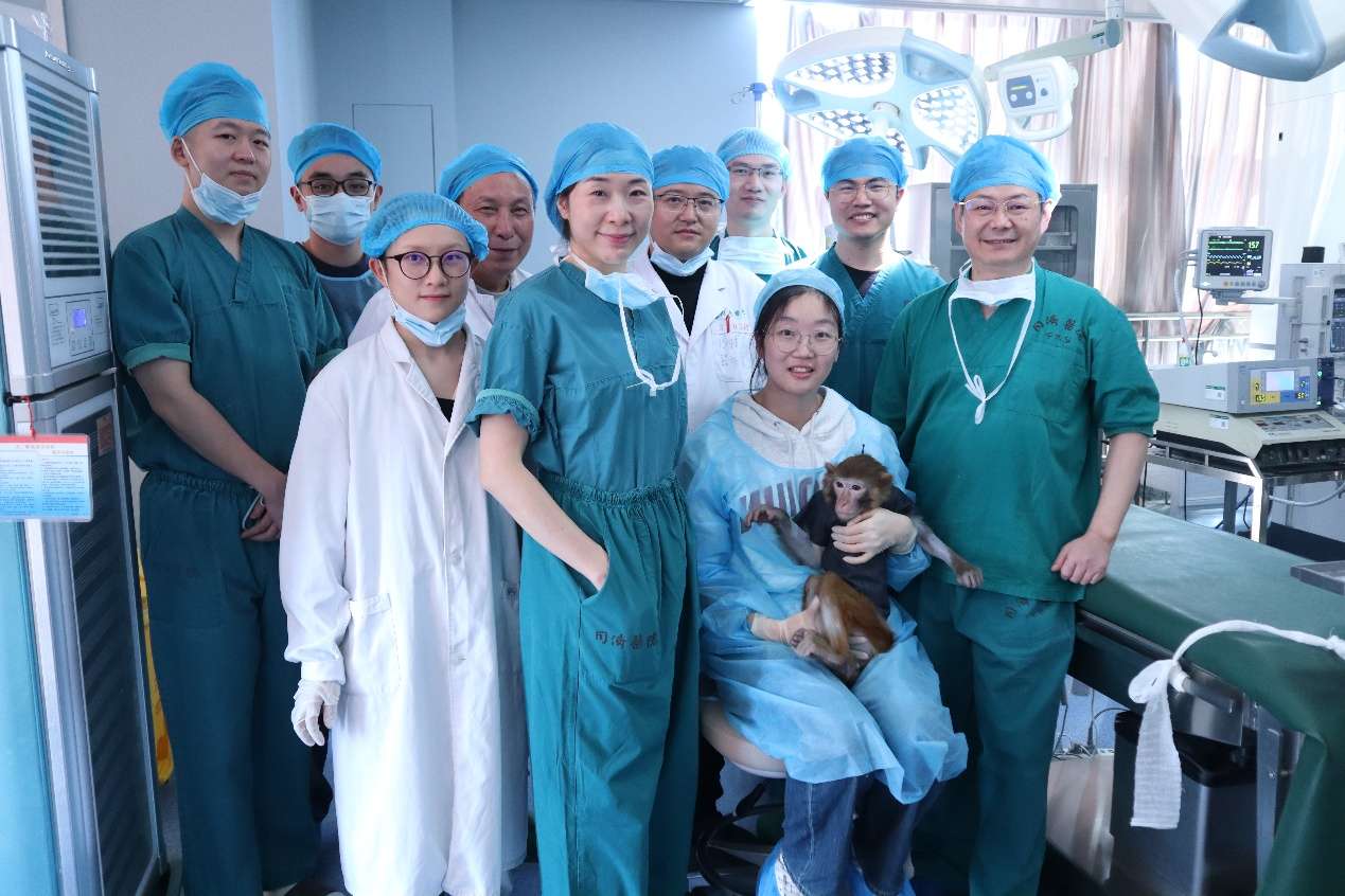 华科大团队取得异种移植新突破:中国首个异种器官移植猕猴存活超过一年 华科大团队取得异种移植新突破:中国首个异种器官移植猕猴存活超过一年