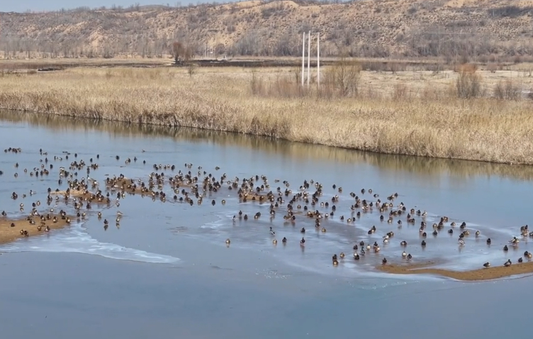 人这一辈子,一定要去一趟榆林!