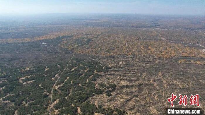 人这一辈子,一定要去一趟榆林!