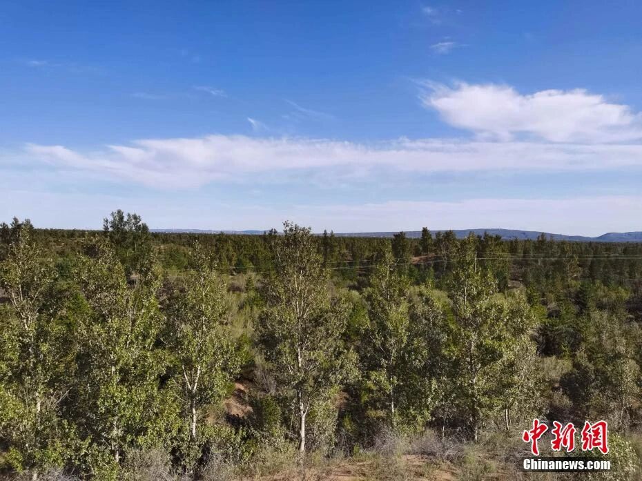 人这一辈子,一定要去一趟榆林!