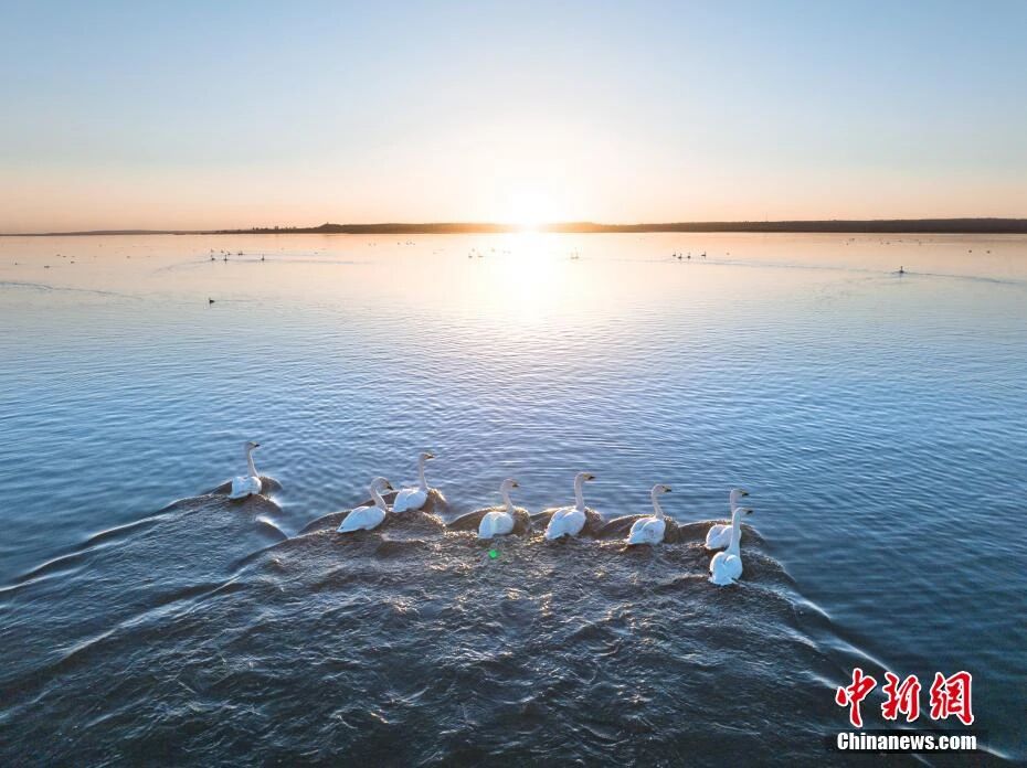 人这一辈子,一定要去一趟榆林!