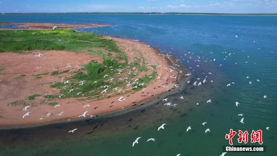 人这一辈子,一定要去一趟榆林!