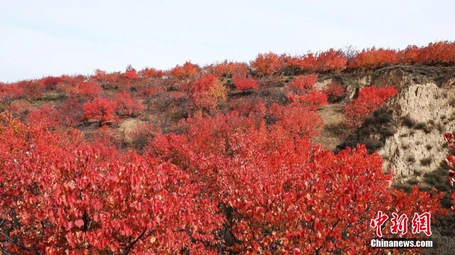 人这一辈子,一定要去一趟榆林!